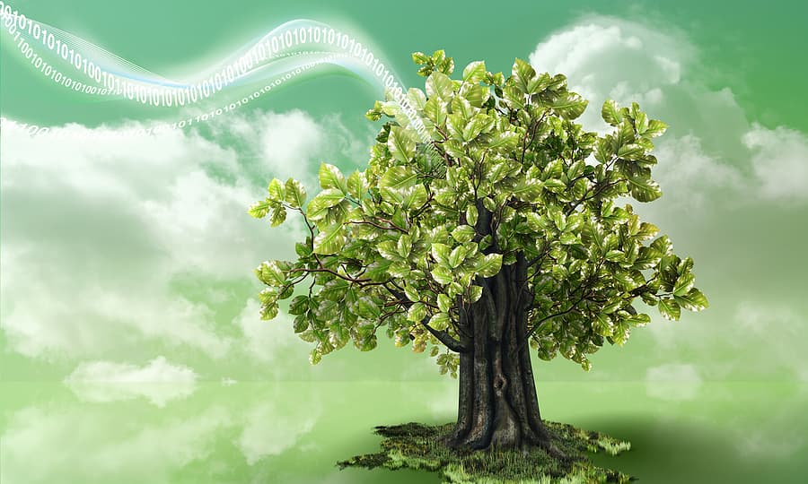 Embracing Green Tech: Lessons from Scandinavia